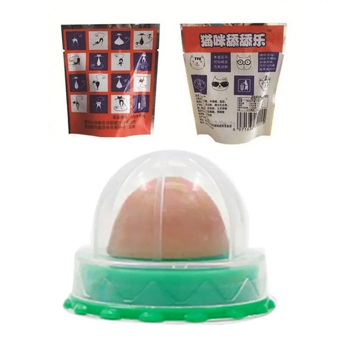 Котяча м'ята,кошача мята