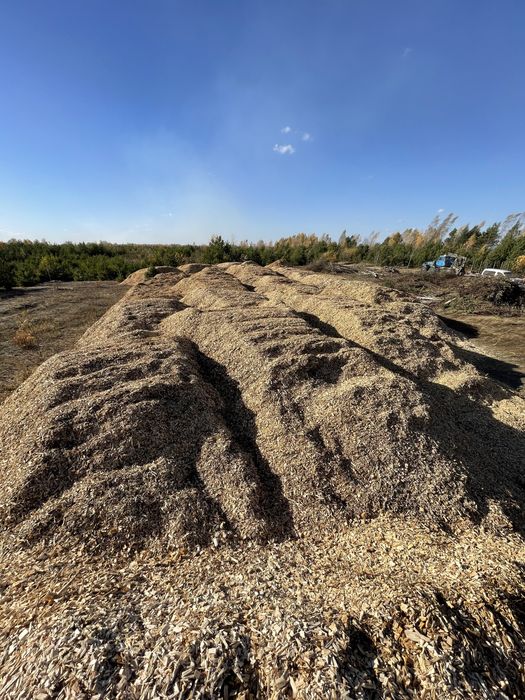 Щепа береза (висока якість) до 20%вологості сухостій