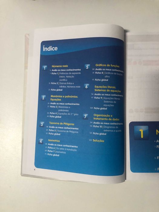 Matemática em ação 8, 8.º ano, caderno de atividades, bom estado