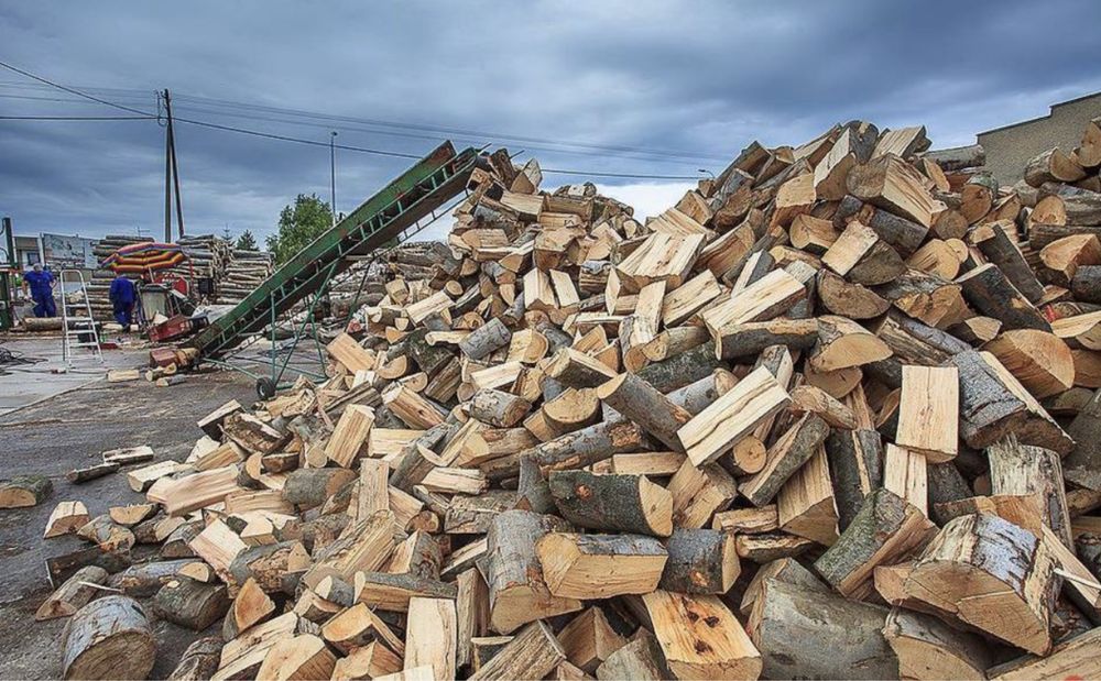 Drewno kominkowe opał drzewny drzewo dąb buk brzoza sosna olcha grab
