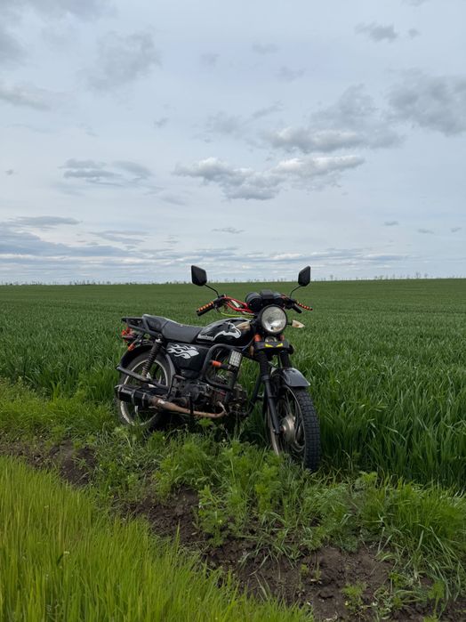 альфа мустанг 125