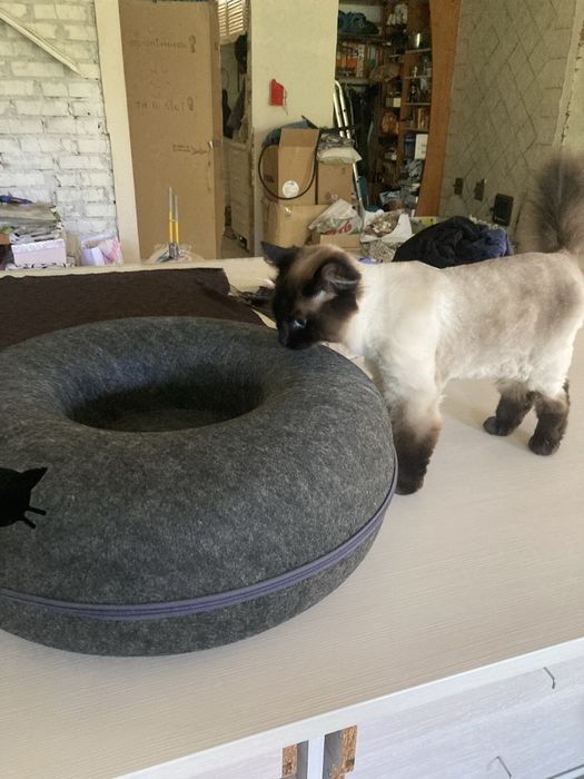 Іграшка для котика