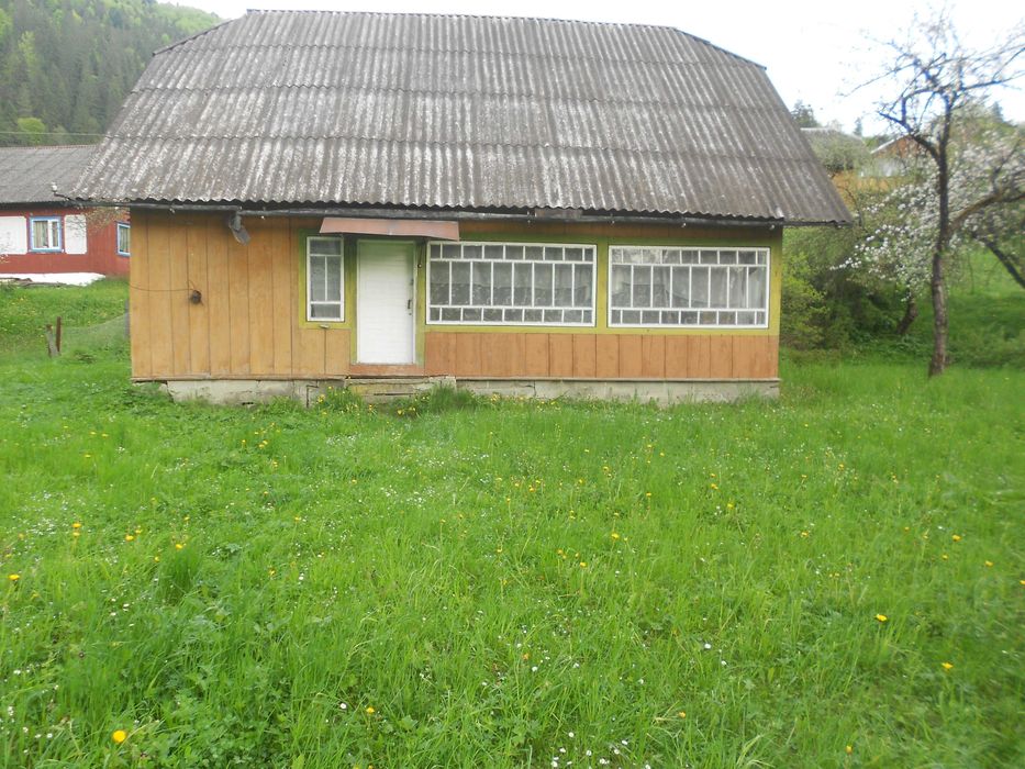 Житловий будинок та земельна ділянка 55,3 сот. с.Козьова