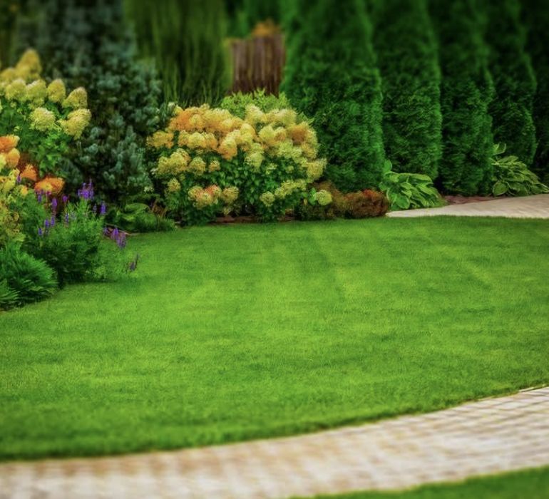 Serviços jardinagem, limpeza terrenos