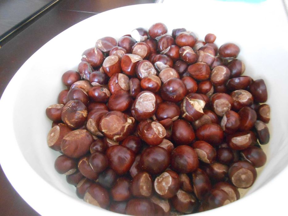 Kasztany (5-6kg)Całość