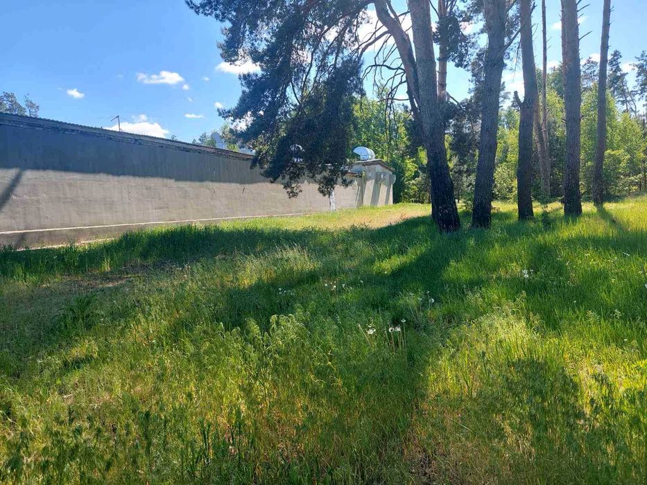 Продаж Виробничо-складське приміщення 1370 м2 Бучанський район 89 соток