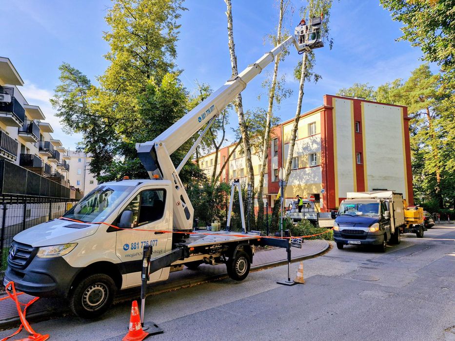 Wycinanie i skracanie drzew, przycinanie krzewów i żywopłotów