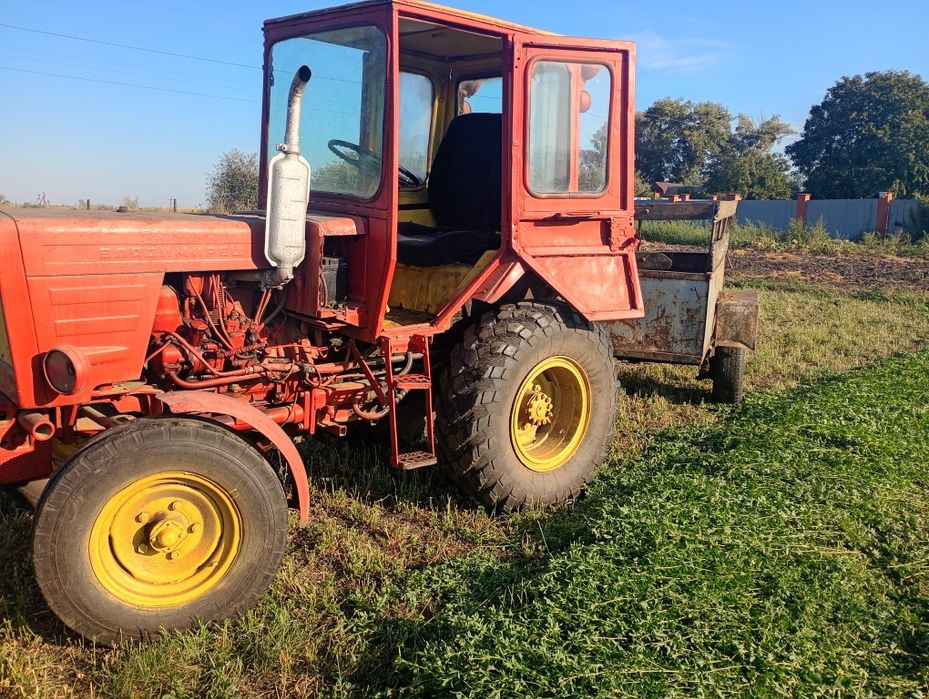 Трактор Т-25 с косаркою