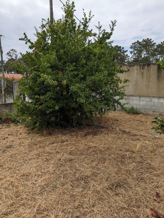 Terreno na Verdizela