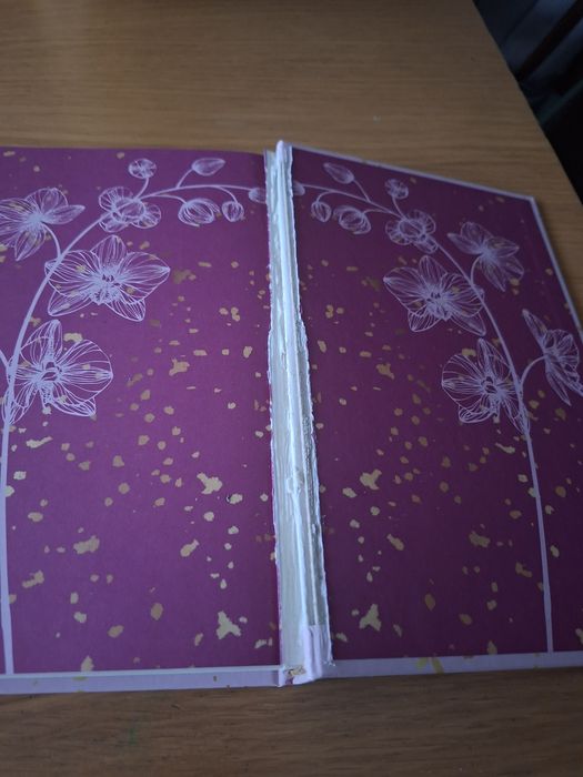 Livro" Isto acaba aqui"