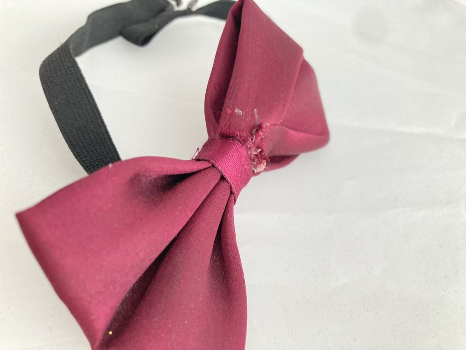 Метелик дитячий