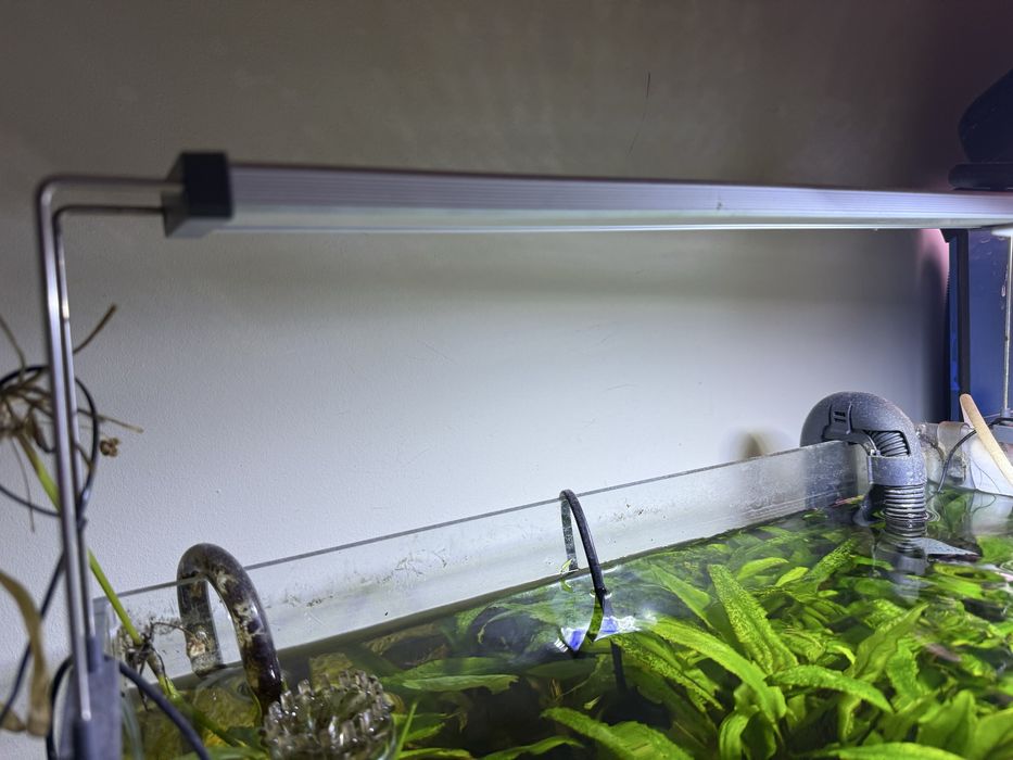 Chihiros led lampa do akwarium