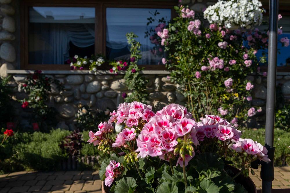 Jesien Apartament z balkonem widok na Tatry