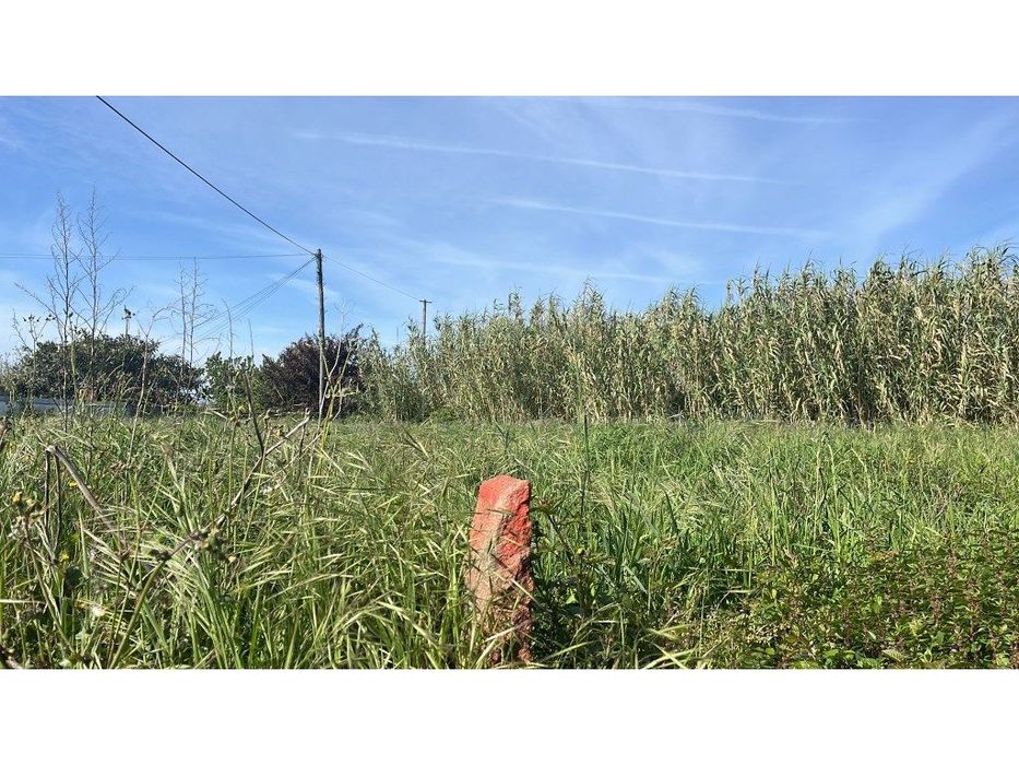 Terreno para construção em Antas, Esposende — Antas, Braga