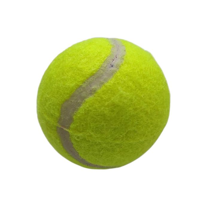 Piłki tenisowe ProLeo 10 szt. treningowe 6,35 cm