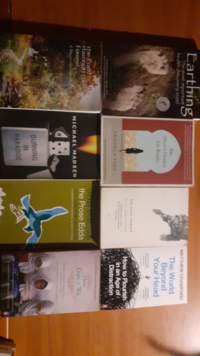 Literatura diversa em inglês