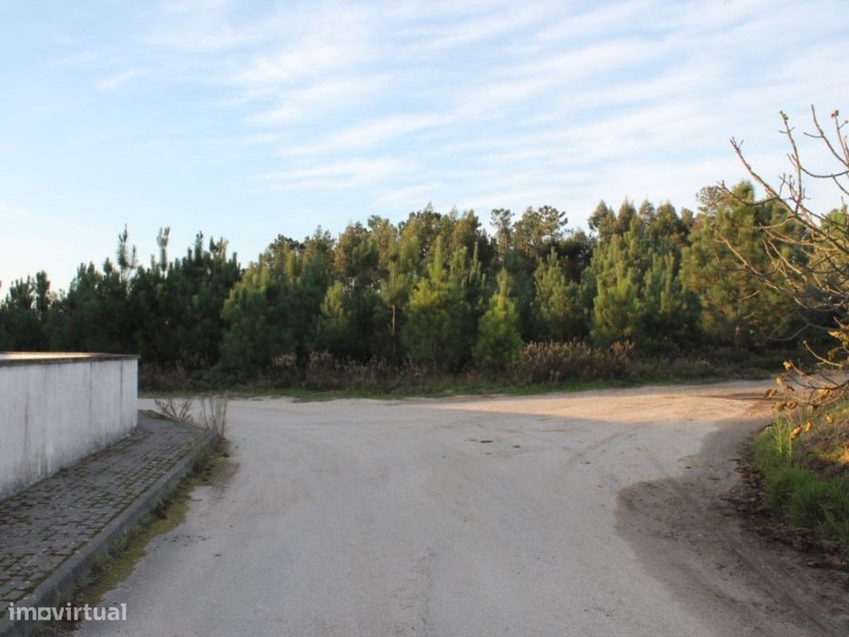 Terreno -