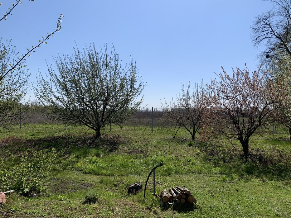 Продам будинок с.Вільне Киівська обл