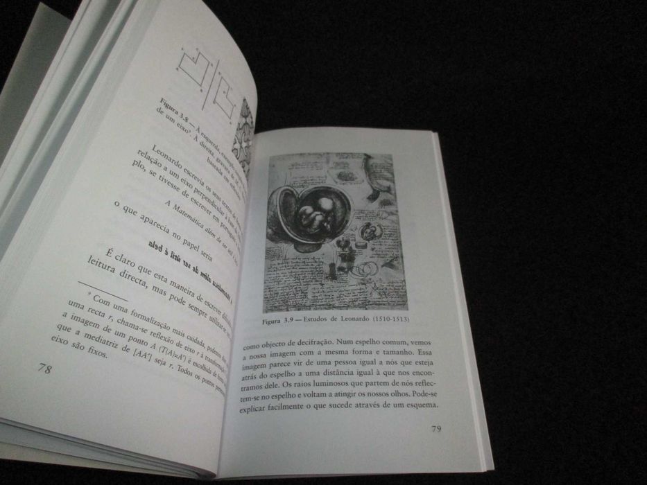 Livro A Espiral Dourada Nuno Crato