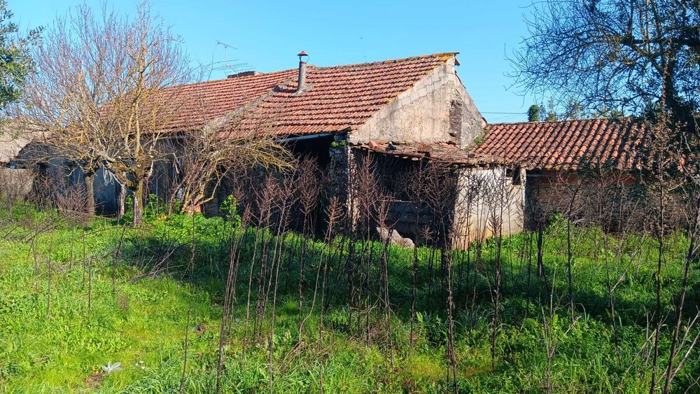 Terreno de 2200m2 com moradia para restauro.