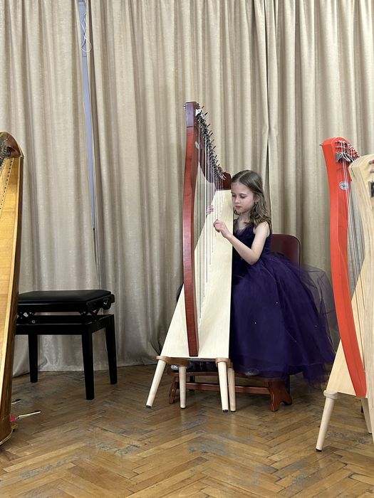 Арфа леверсна модель Мія Salvi Італія