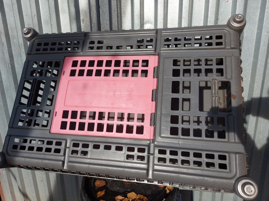 Klatka do przewozu kur