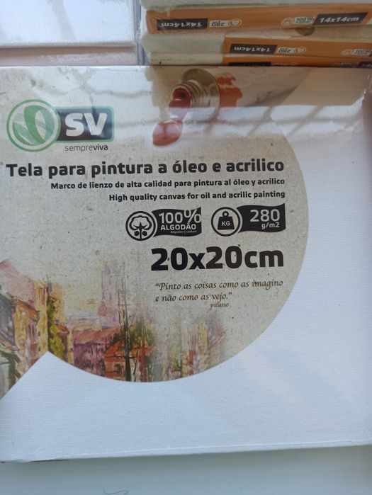 Telas pequenas, novas, para óleo e acrilico várias medidas 20x20