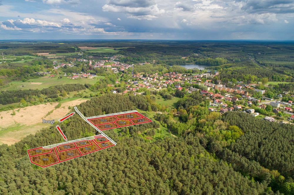 Torzym Młyńska Ostoja