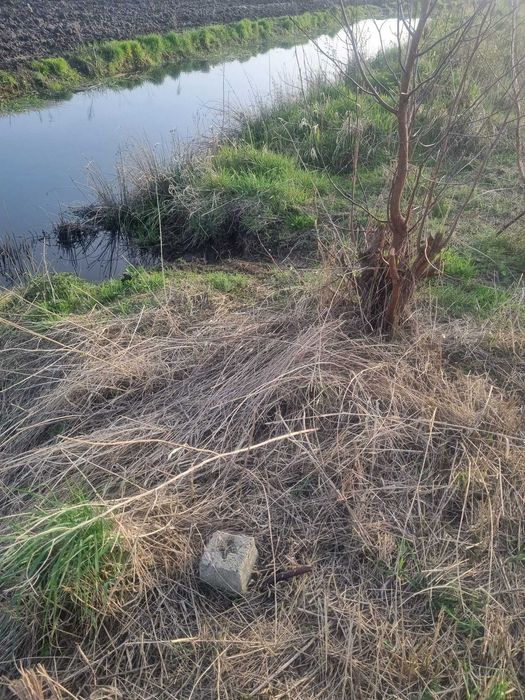 Borzysławiec - działka pod Goleniowem 1007 m2