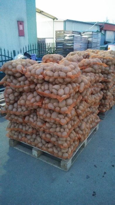 Ziemniaki jadalne Bellarosa, Baltic-rosa