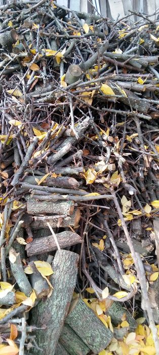 Дрова фруктовых деревьев 2000 грн