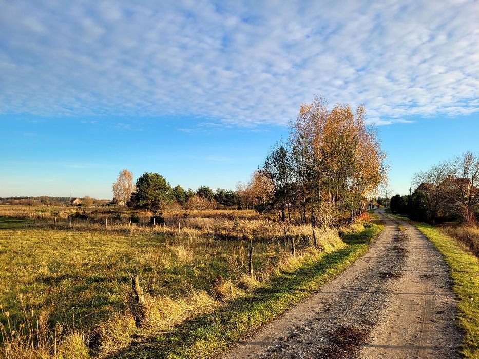 Duża działka budowlana w Zalesiu, wydane warunkami zabudowy