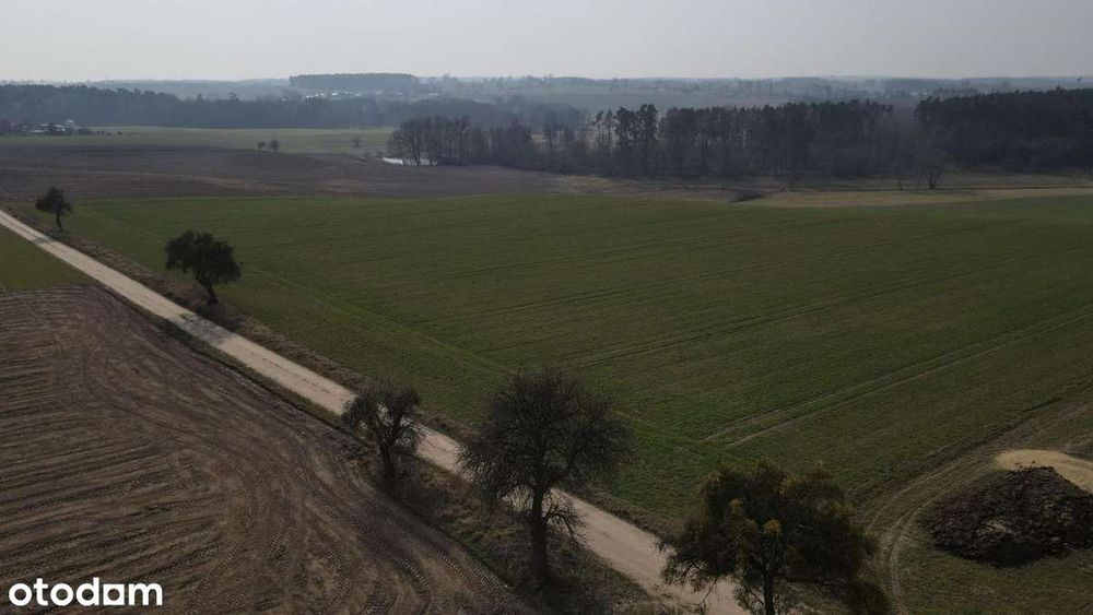 Piękne Działki Budowlane z wydanymi Warunkami
