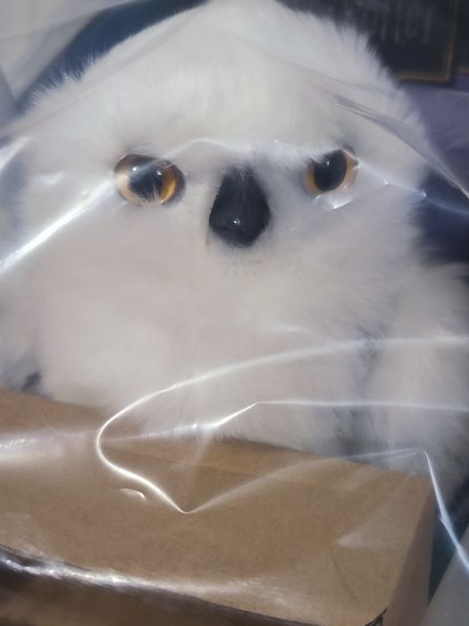 World Harry Potter Owl Гаррі Поттер Чарівна Гедвіга Інтерактивна Сова