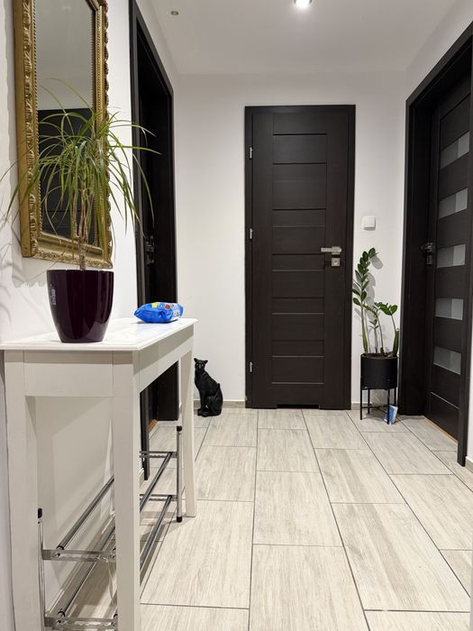 Mieszkanie dwupokojowe 45m2 / Do Wynajecia od Zaraz