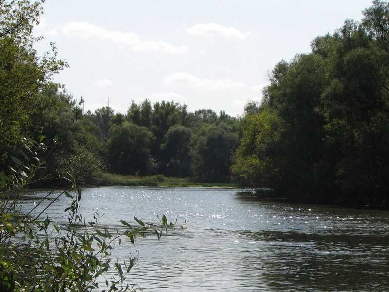 Продается домик в пгт. Печенеги