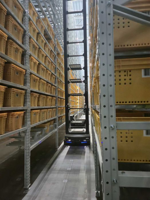 Ekspercki Przegląd Regałów i Systemów Magazynowych – RYKI I OKOLICE