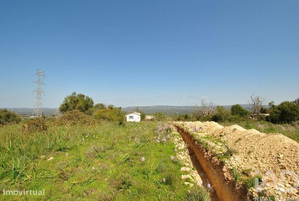 Terreno Agrícola em Paderne