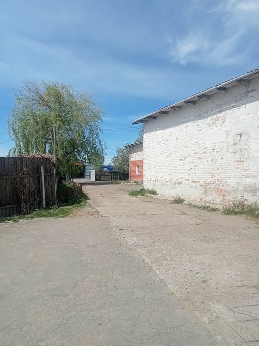 Бізнес по заготівлі мʼяса, забійний пункт( бойня)