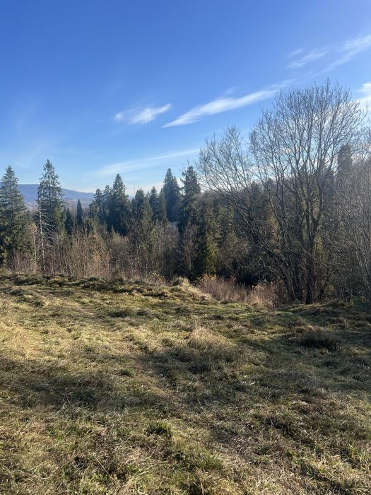 Продам земельну ділянку Славське