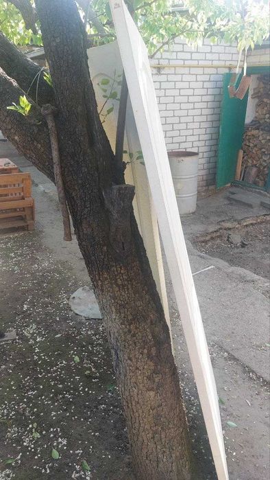 Двері міжкімнатні.