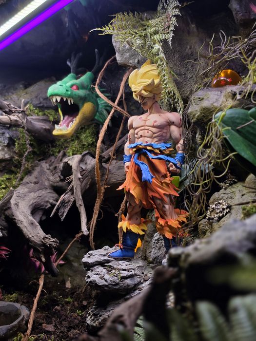 Terrarium na wymiar z aranżacją
