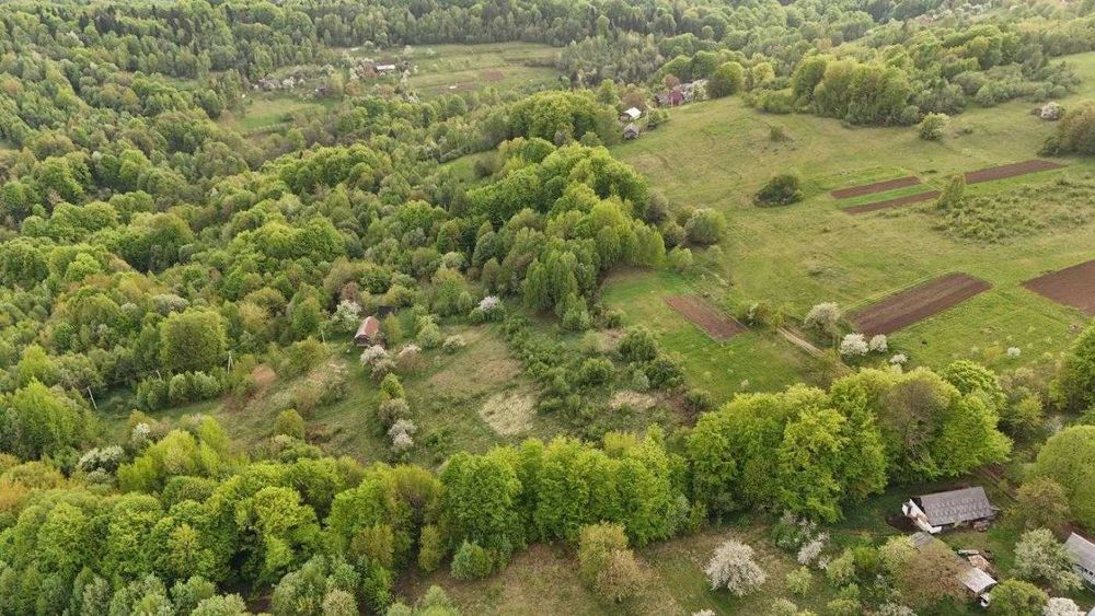 ТЕРМІНОВО/ Земля / Орів / Дрогобицький / Львівська область