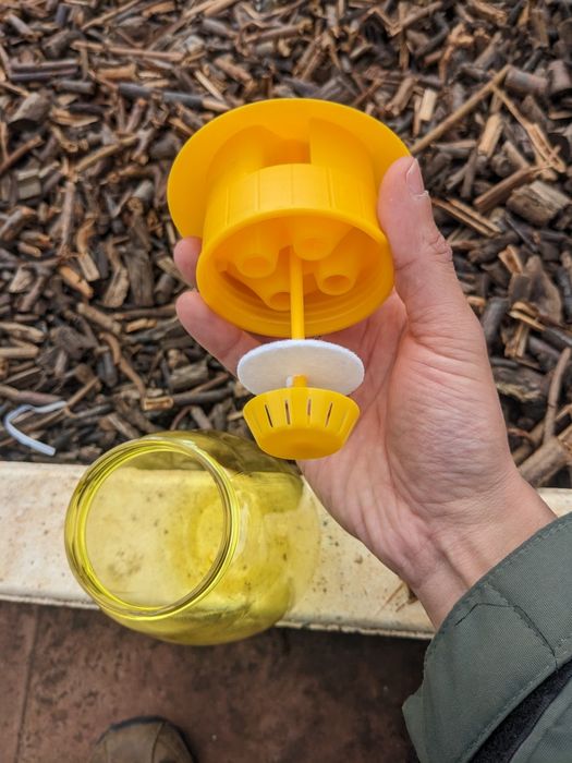 Armadilha para a Mosca da Fruta