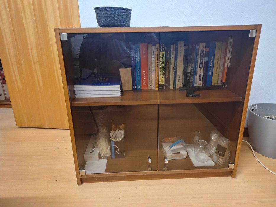 Armário de Arquivo de Escritório com Portas de Vidro