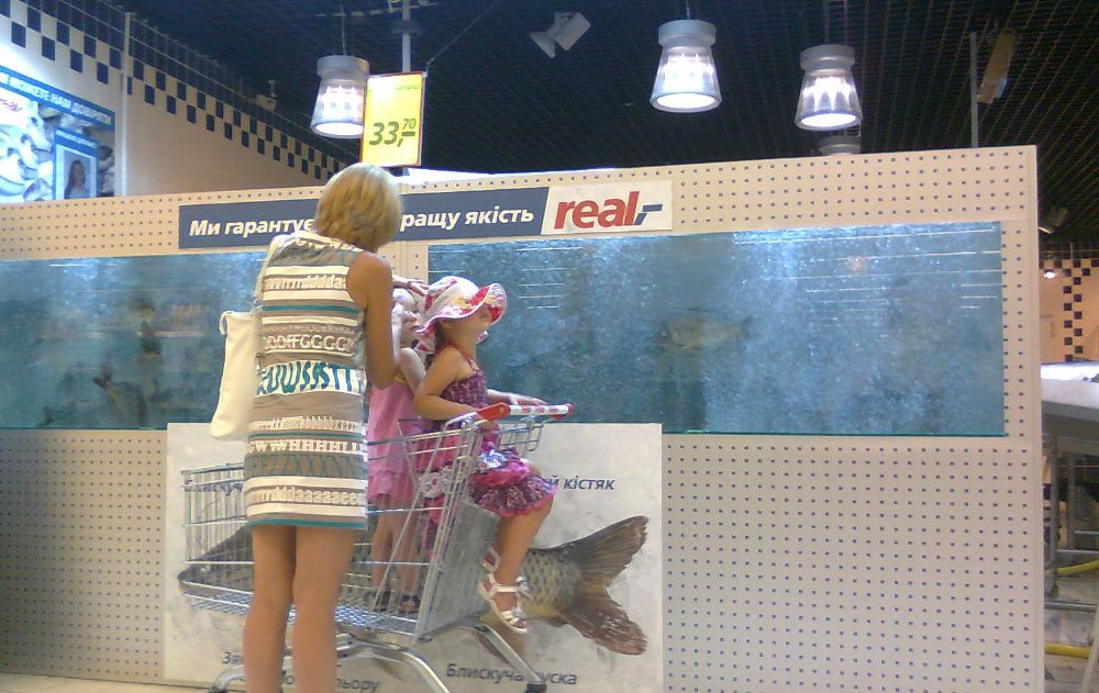 Изготовление аквариумов для торговли живой рыбой, устрицами, омарами