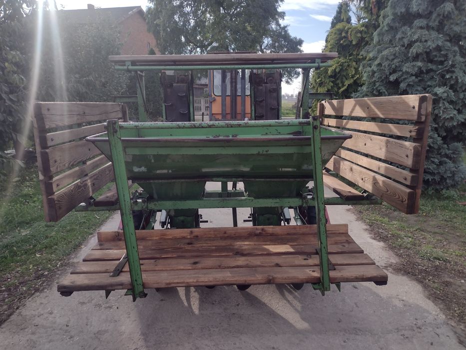 Sadzarka do ziemniaków kiełkowanych Hassia 2 podesty (gruse,unia kora)