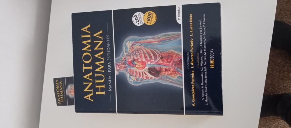Anatomia Humana: Manual para Estudantes