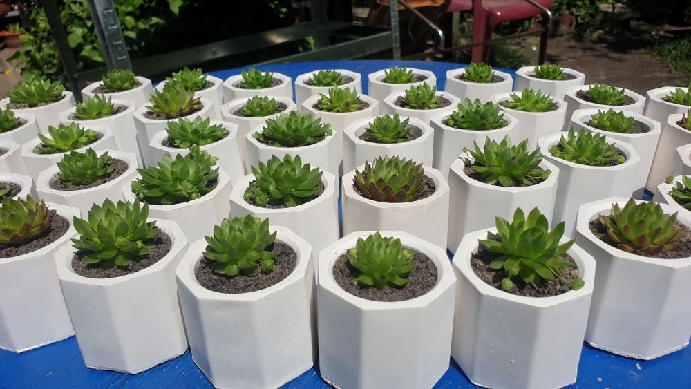 Podziękowanie dla gości