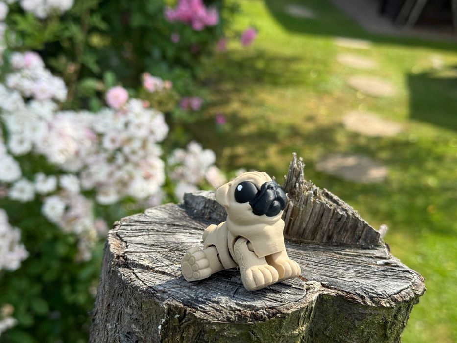 Mini Mops 3D – ruchoma, przegubowa mini figurka psa, Minimals, zabawka, pies